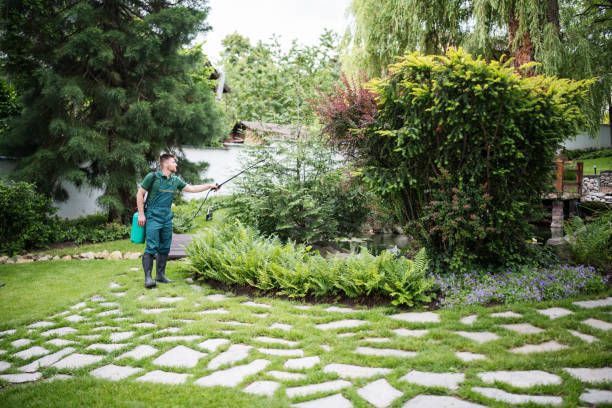 Best Affordable Pest Control Services  in Highland, MD