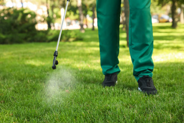 Best Local Pest Control Services  in Highland, MD